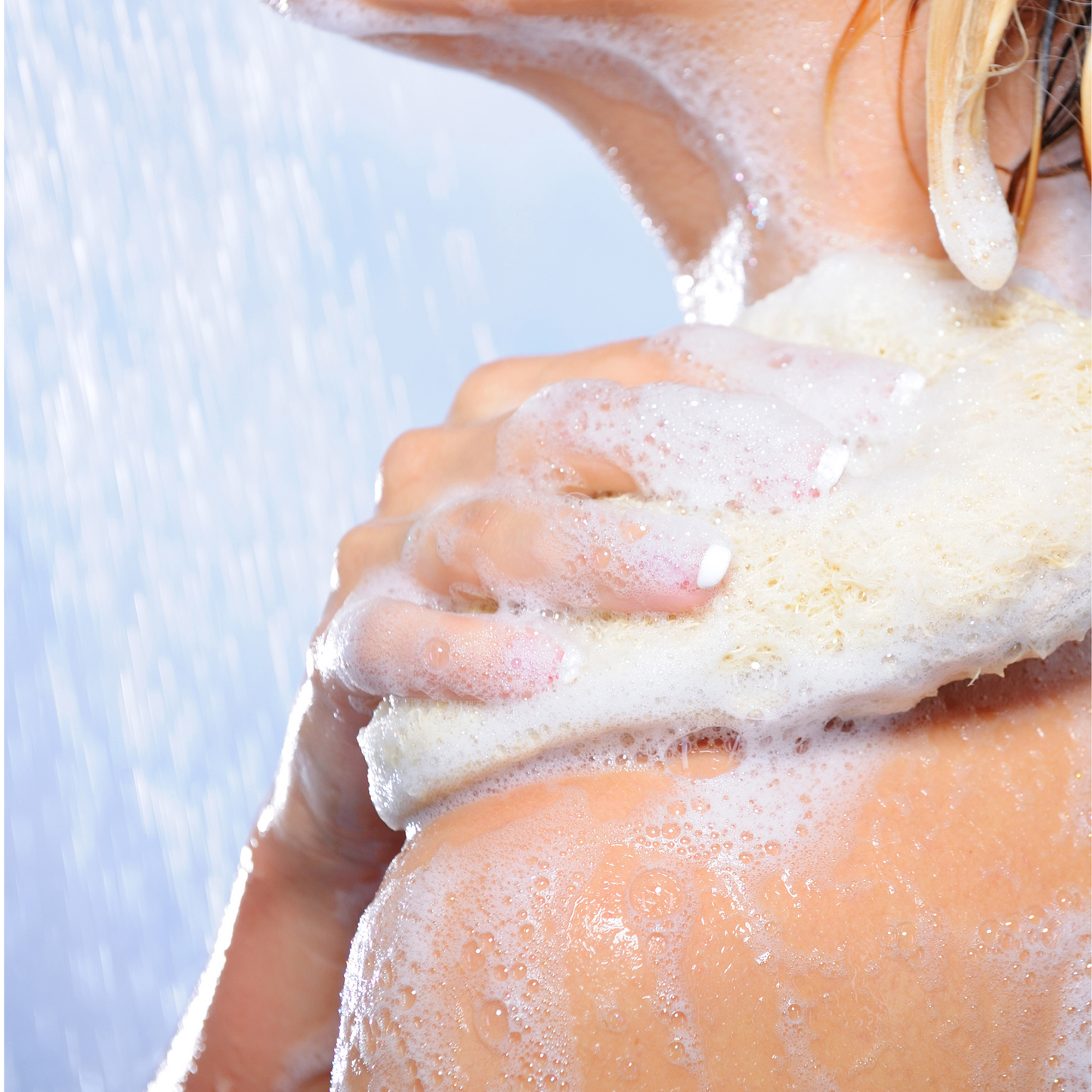 16 oz. Apple Pear Scented Body Wash