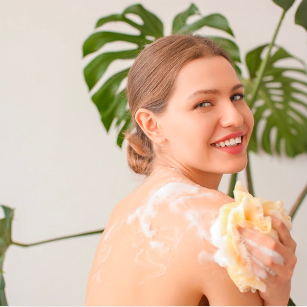 16 oz. Coco Mango Scented Body Wash
